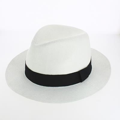 DAYTON PANAMA HAT with Stitched Band