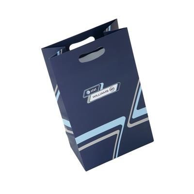 ORION LUXURY PAPER CARRIER BAG with Matt Finish & Die Cut Handles